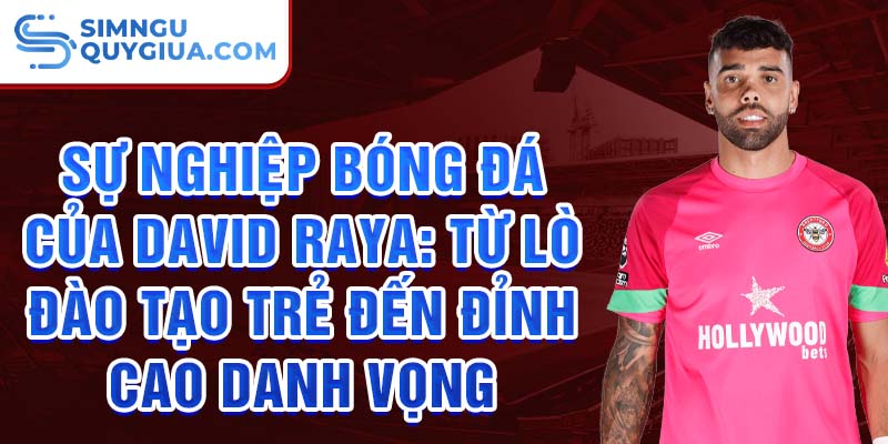 Sự nghiệp bóng đá của david raya: từ lò đào tạo trẻ đến đỉnh cao danh vọng