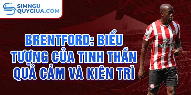 Brentford: Biểu tượng của tinh thần quả cảm và kiên trì