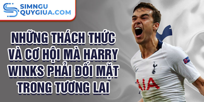 Những thách thức và cơ hội mà Harry Winks phải đối mặt trong tương lai