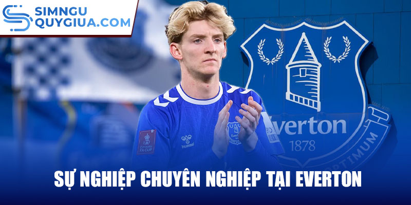 Sự nghiệp chuyên nghiệp tại everton