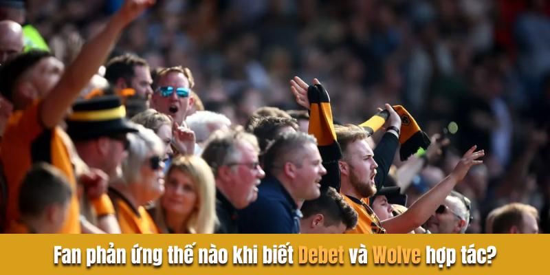 Người hâm mộ phản ứng thế nào khi biết debet và wolves hợp tác?