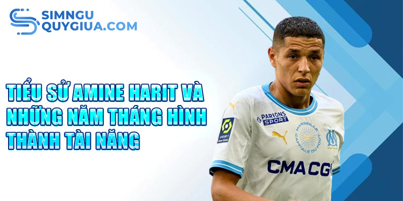 Tiểu sử amine harit và những năm tháng hình thành tài năng