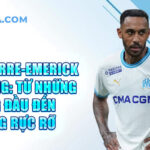 Tiểu sử pierre-emerick aubameyang: từ những năm tháng đầu đến thành công rực rỡ