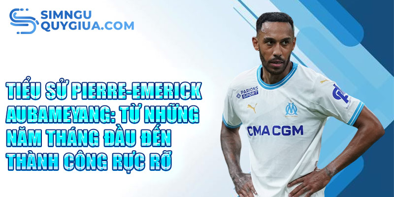 Tiểu sử pierre-emerick aubameyang: từ những năm tháng đầu đến thành công rực rỡ